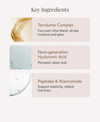 A marketing infographic titled 'Key Ingredients', listing: Terralume Complex, Next-generation Hyaluronic Acid, Peptides and Niacinamide