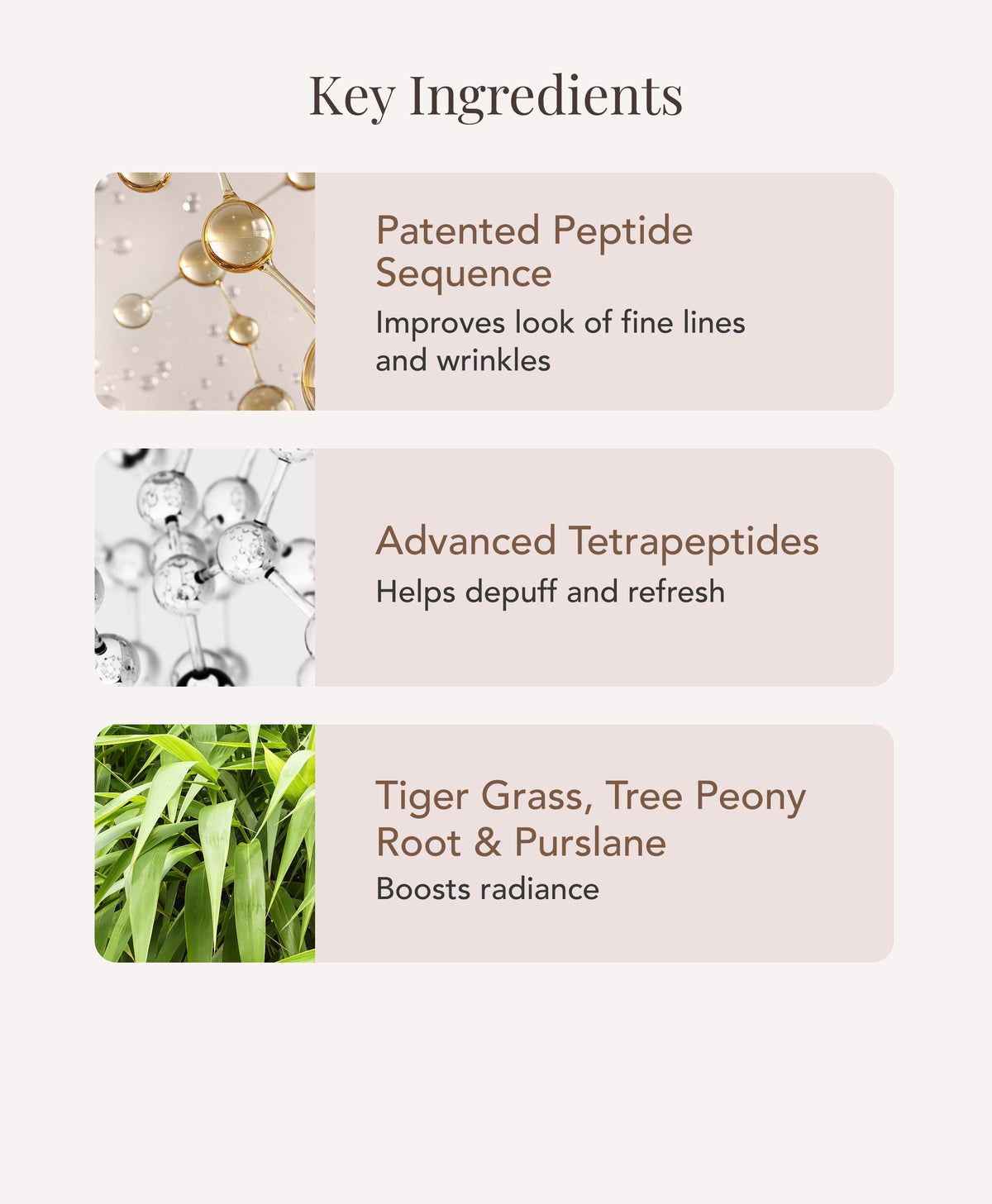 An infographic titled 'Key Ingredients', featuring ingredient claims: patented peptide sequence, advanced tetrapeptides, and tiger grass, tree peony root & purslane, each with small illustrative graphics.