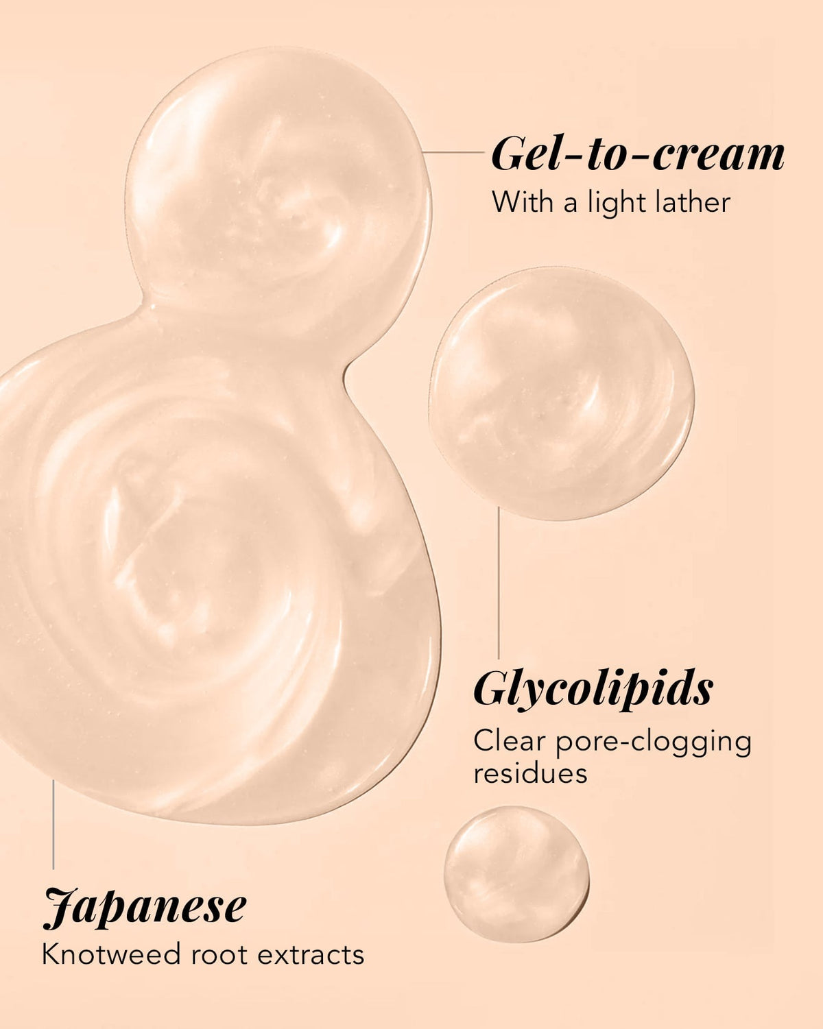 A beige cosmetic ingredient graphic on a peach background showing translucent gel and liquid droplets with text labels reading 'Gel-to-cream, With a light lather,' 'Glycolipids, Clear pore-clogging residues,' and 'Japanese, Knotweed root extracts'.