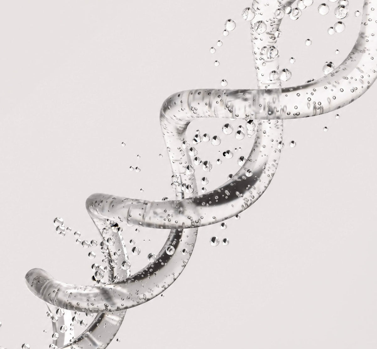 Performance-Driven Ingredients