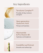 A marketing infographic titled 'Key Ingredients', listing: Terralume Complex, Next-generation Hyaluronic Acid, Niacinamide & Pro-Vitamin B5, and Candelilla Leaf Extract.